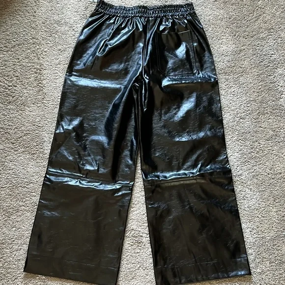 NWT Anthropologie Faux Leather Pants - Medium Petite - Picture 7 of 9